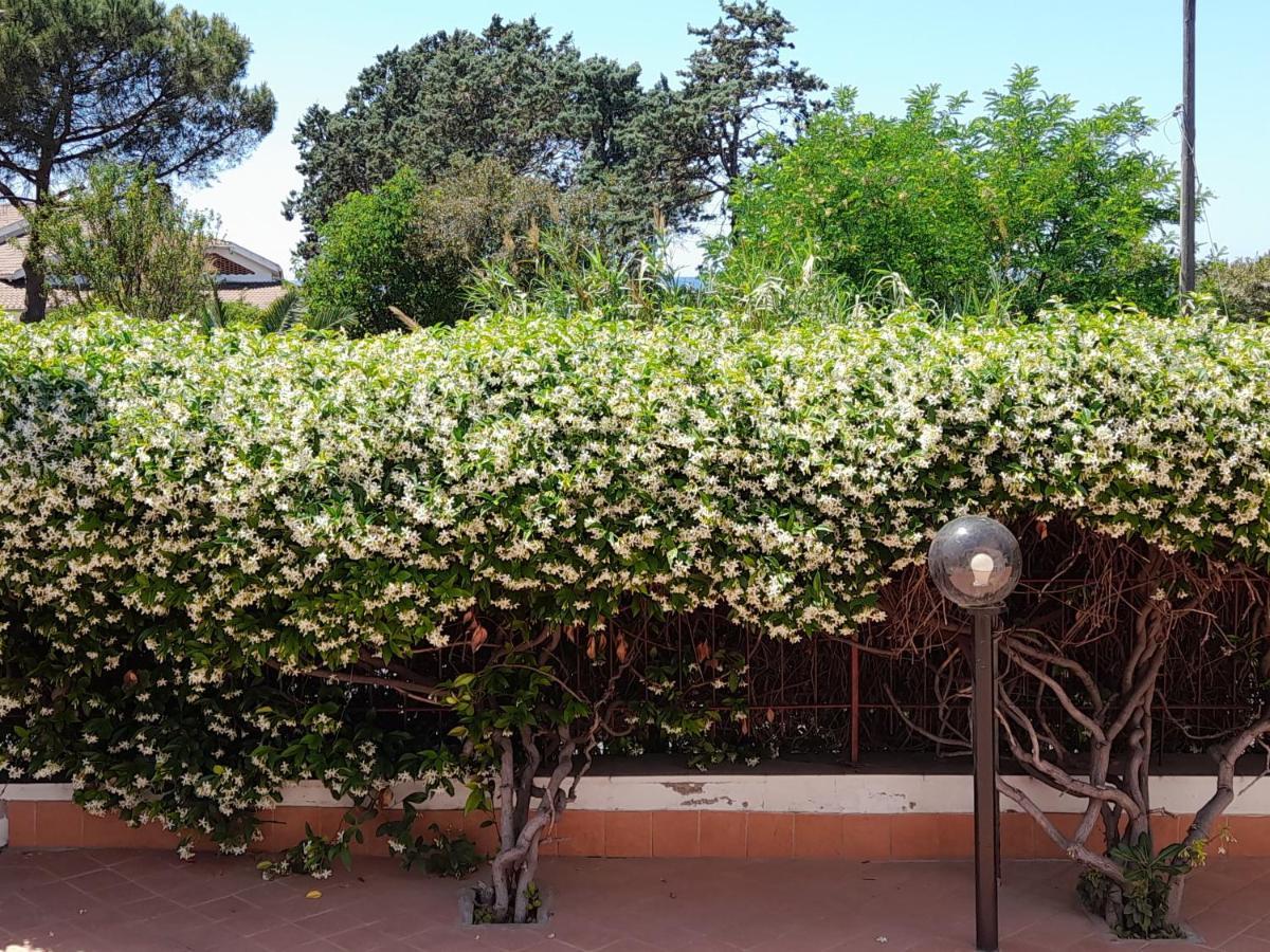 Guest House Al Mare Civitavecchia Kültér fotó